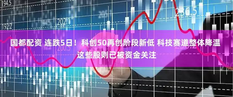 国都配资 连跌5日！科创50再创阶段新低 科技赛道整体降温 这些股则已被资金关注