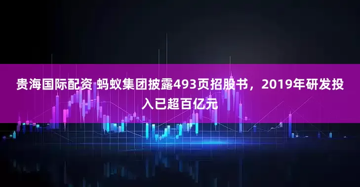 贵海国际配资 蚂蚁集团披露493页招股书，2019年研发投入已超百亿元
