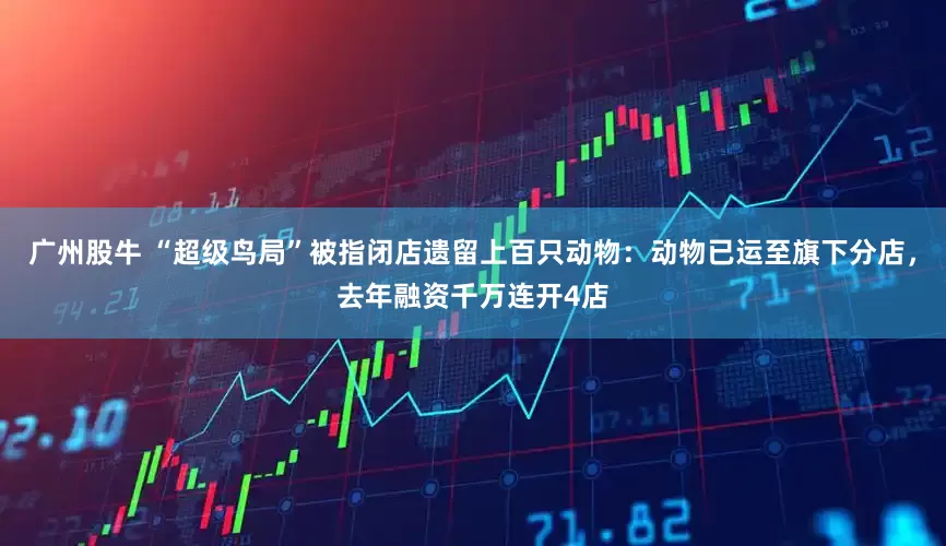 广州股牛 “超级鸟局”被指闭店遗留上百只动物：动物已运至旗下分店，去年融资千万连开4店